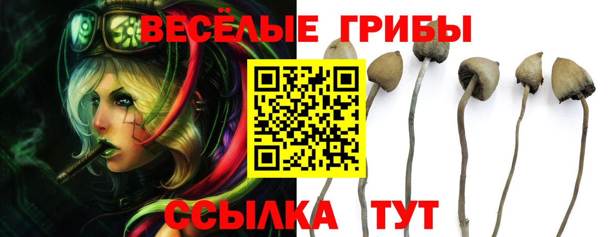 Псилоцибиновые грибы Magic Shrooms Вышний Волочёк